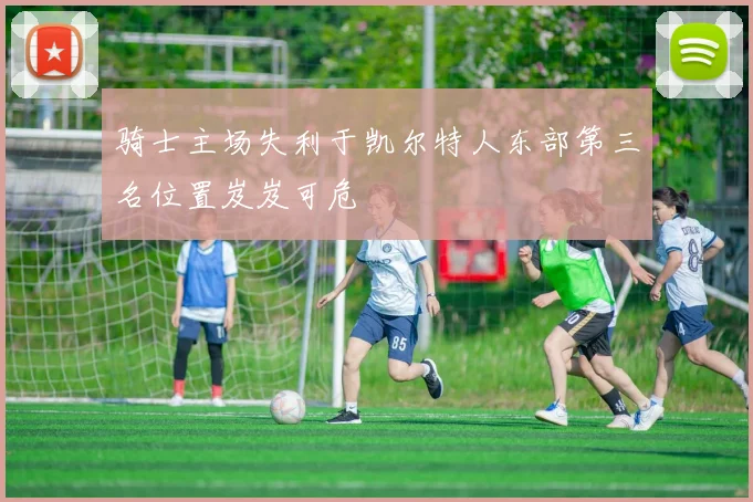 骑士主场失利于凯尔特人东部第三名位置岌岌可危